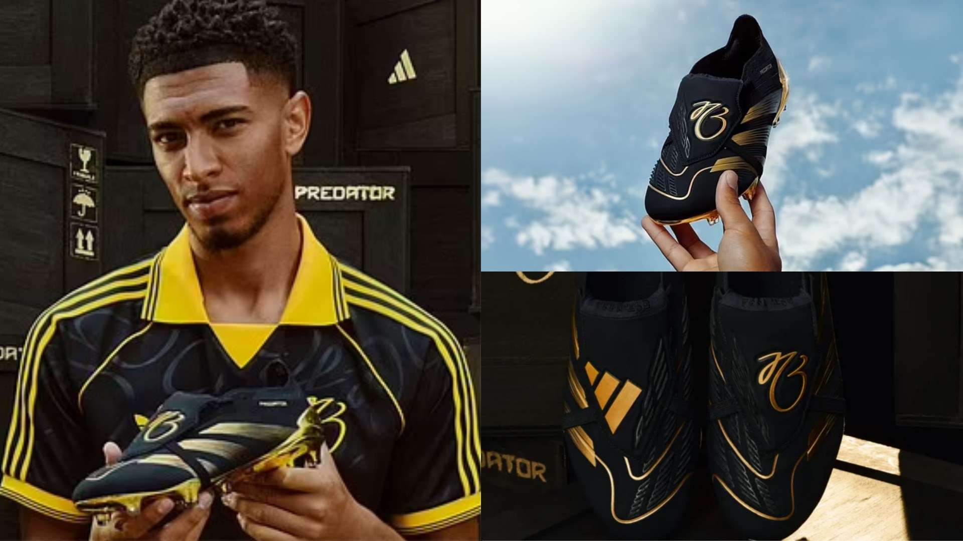 埃弗顿保级 埃弗顿保级