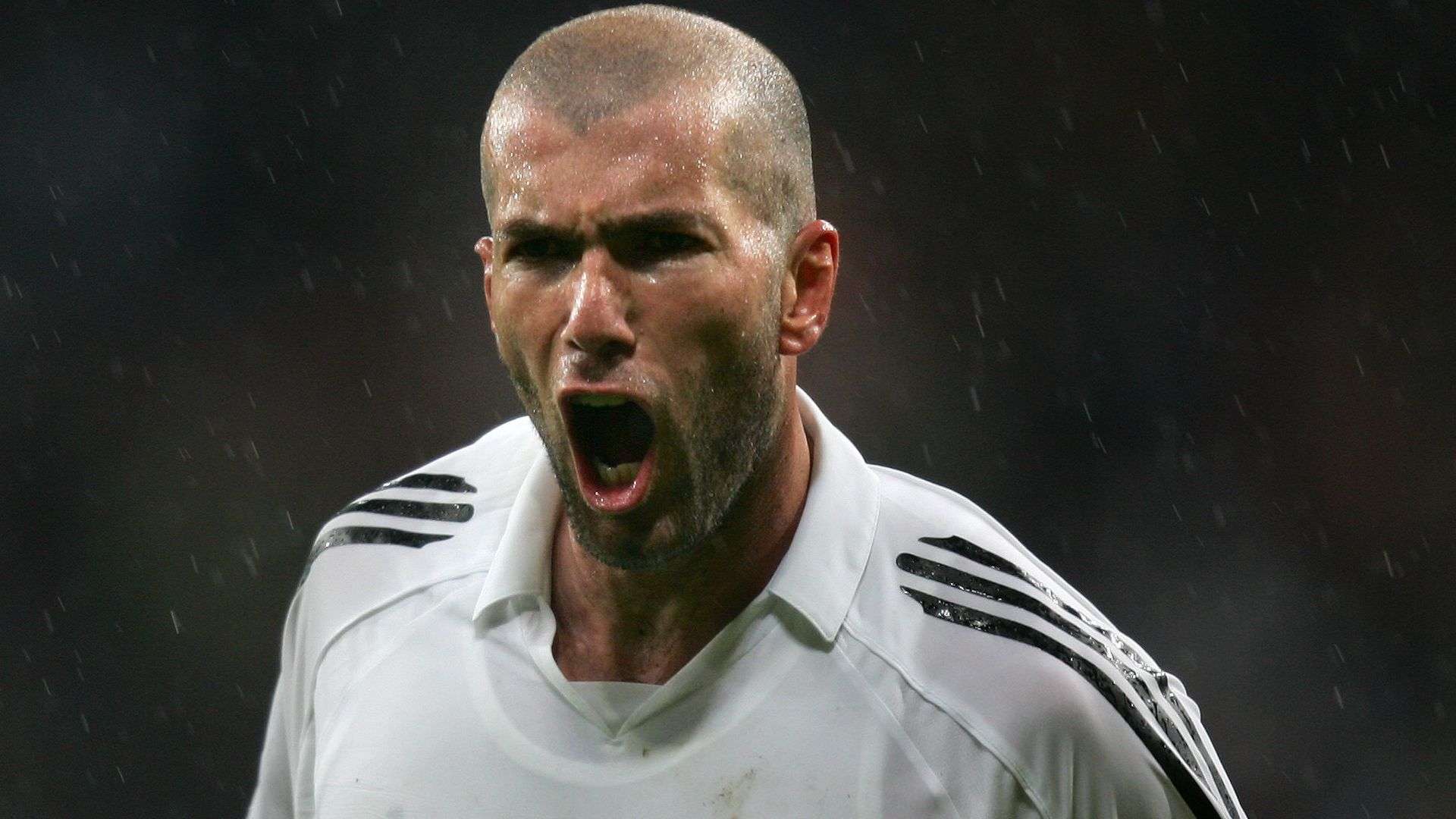 城市開發項 城市開發項